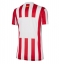 Atletico Madrid Thuis tenue Dames 2025-26 Korte Mouwen