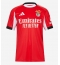 Benfica Antonio Silva #4 Thuis tenue 2025-26 Korte Mouwen
