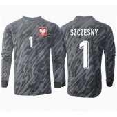 Polen Wojciech Szczesny #1 Keeper Uit tenue EK 2024 Lange Mouwen